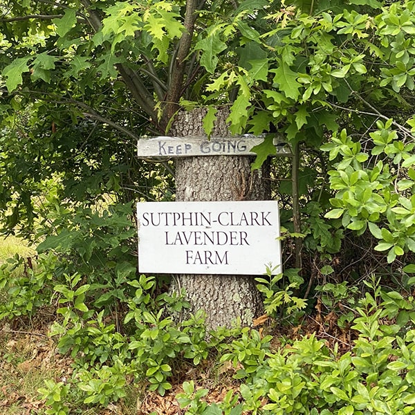 Cape Cod Lavender Farm Road Entrance Sign