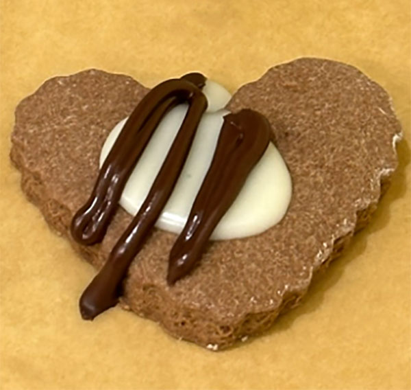 Chocolate Orange Cookies Hearts with Icing