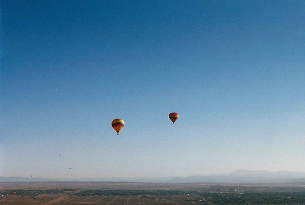 Hot Air Balloons Flying High