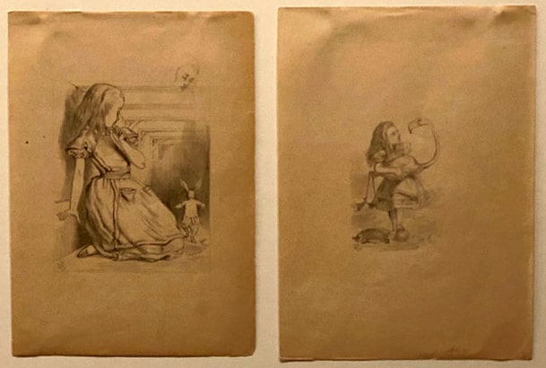 New York Public Library Treasures Alice in Wonderland Illustrations