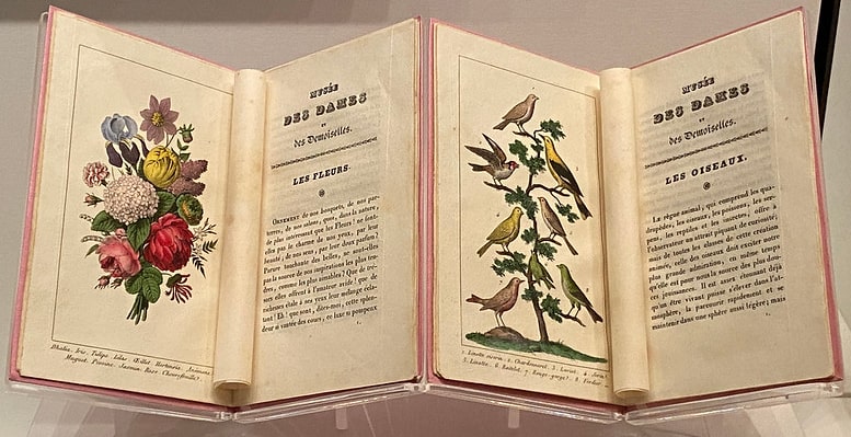 New York Public Library Treasures Musée des dames et des demoiselles