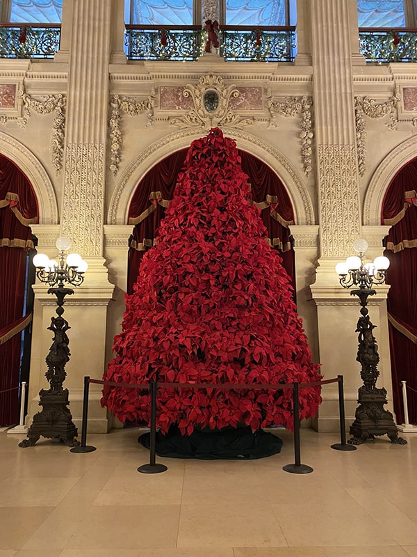 newport-mansions-at-christmas-the-breakers-poinsettia-tree